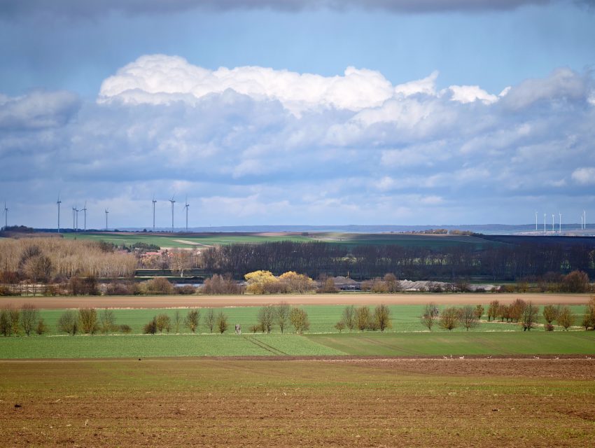 hoc-nghe-lam-vuon-tai-duc